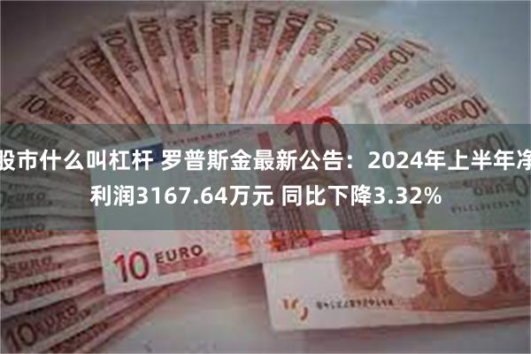 股市什么叫杠杆 罗普斯金最新公告：2024年上半年净利润3167.64万元 同比下降3.32%