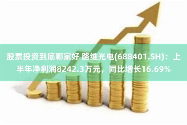 股票投资到底哪家好 路维光电(688401.SH)：上半年净利润8242.3万元，同比增长16.69%