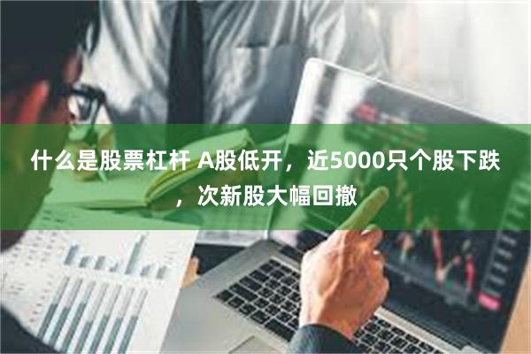 什么是股票杠杆 A股低开，近5000只个股下跌，次新股大幅回撤