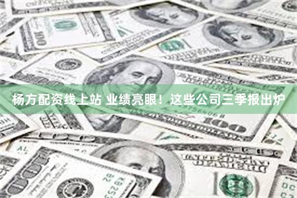 杨方配资线上站 业绩亮眼！这些公司三季报出炉