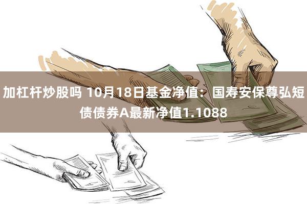 加杠杆炒股吗 10月18日基金净值：国寿安保尊弘短债债券A最新净值1.1088