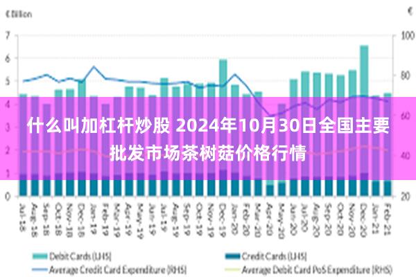 什么叫加杠杆炒股 2024年10月30日全国主要批发市场茶树菇价格行情