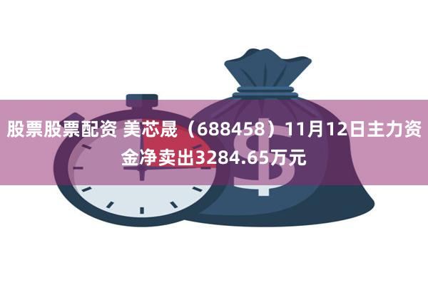 股票股票配资 美芯晟（688458）11月12日主力资金净卖出3284.65万元