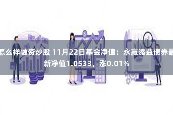 怎么样融资炒股 11月22日基金净值：永赢添益债券最新净值1.0533，涨0.01%