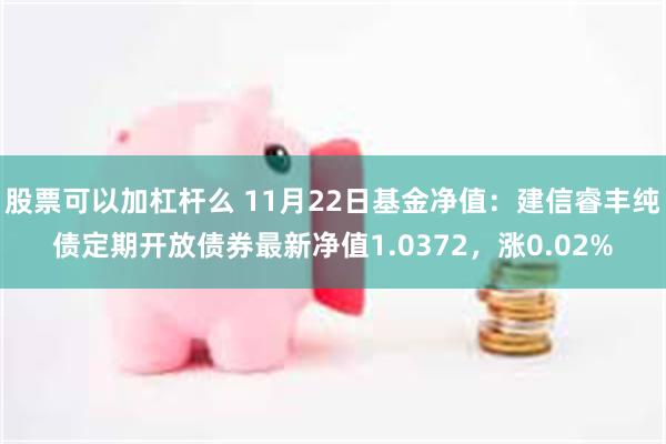 股票可以加杠杆么 11月22日基金净值：建信睿丰纯债定期开放债券最新净值1.0372，涨0.02%